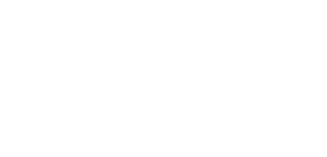 ACE TELECOM F